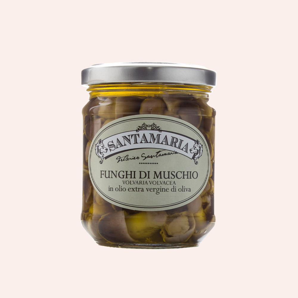 Santamaria_Funghi-di-muschio